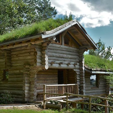 Saint-Martial-de-Gimel La Cabane De Hans מראה חיצוני תמונה
