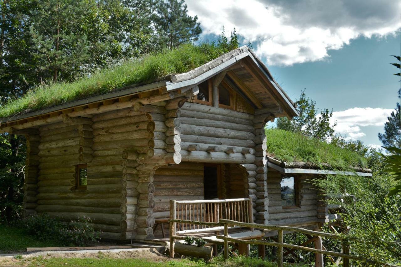Saint-Martial-de-Gimel La Cabane De Hans מראה חיצוני תמונה