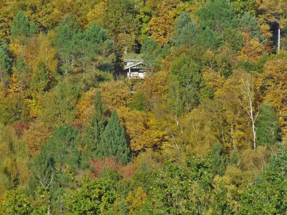 Saint-Martial-de-Gimel La Cabane De Hans מראה חיצוני תמונה