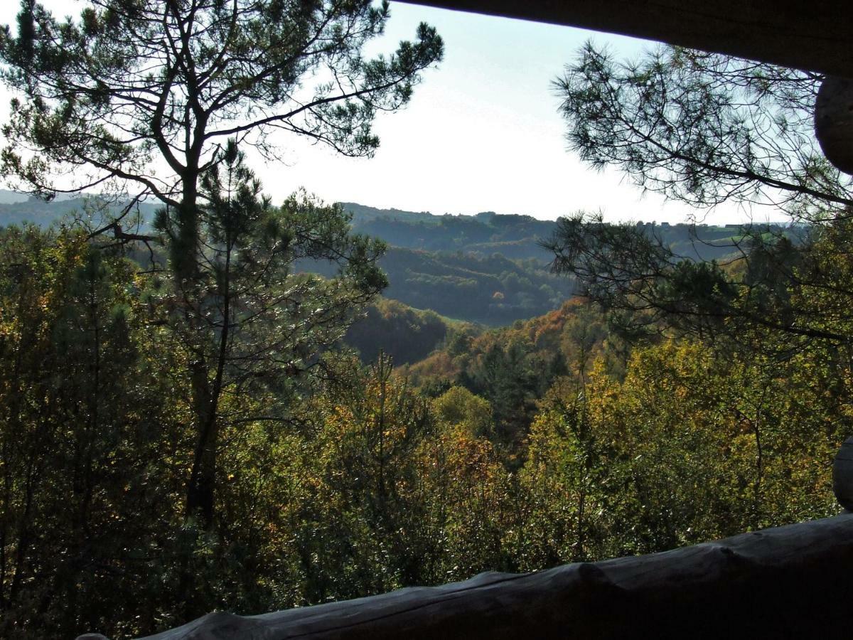 Saint-Martial-de-Gimel La Cabane De Hans מראה חיצוני תמונה